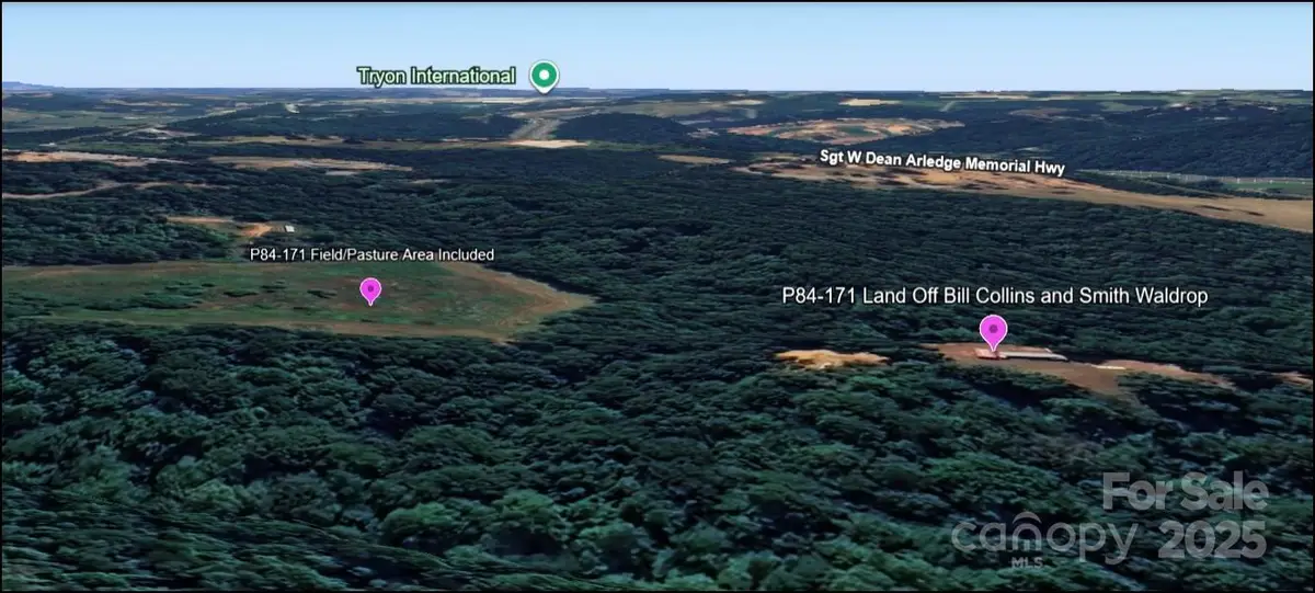 00 Bill Collins Road, Columbus Township, NC 28756 - Image #1