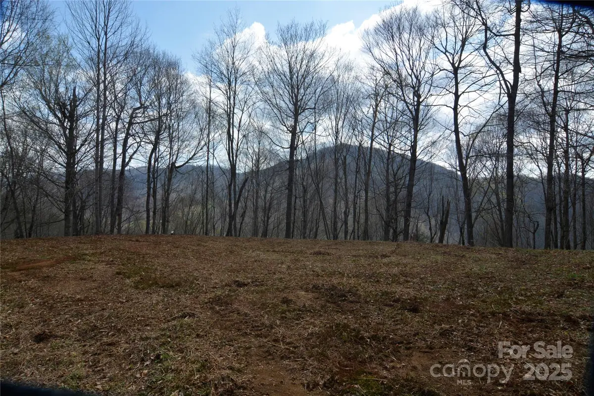 220 Screaming Eagle Drive, Mars Hill, NC 28754 - Image #1