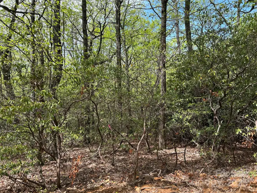 000 John Delk Road #3, Hendersonville, NC 28792 - Image #2