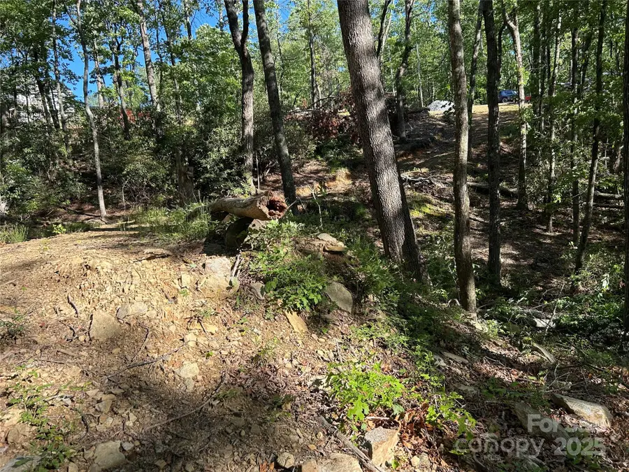 000 Jacks Paw Lane #8, Hendersonville, NC 28792 - Image #3