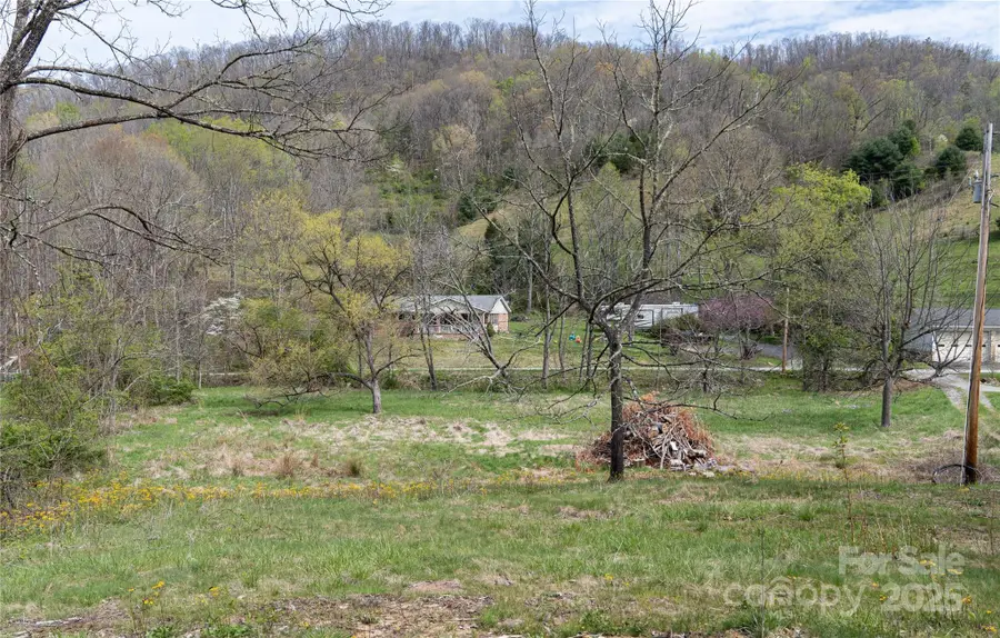 1408 Hamburg Road, Mars Hill, NC 28754 - Image #2