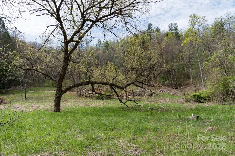 1408 Hamburg Road, Mars Hill, NC 28754 - Image #3