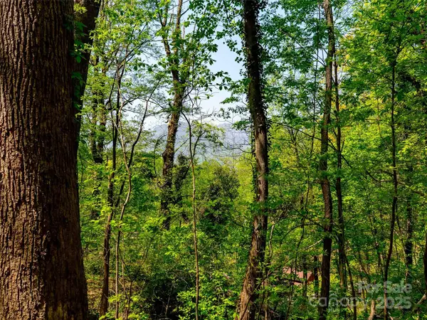 147 Sidney Lanier Drive, Lake Lure, NC 28746