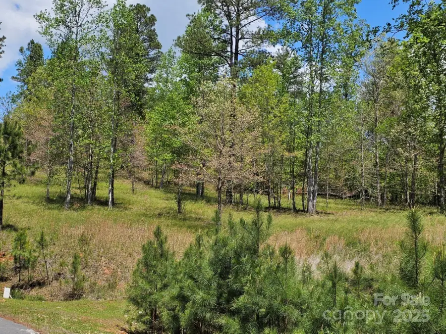 2109 Inlet Shore Road Ne, Connelly Springs, NC 28612 - Image #3