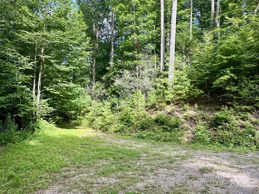 13 Wildlife Drive #13, Clyde, NC 28721 - Image #3