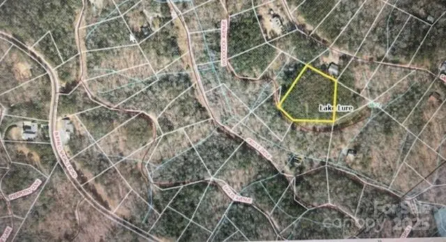 0 Woodcock Avenue #306, Lake Lure, NC 28746 - Image #2