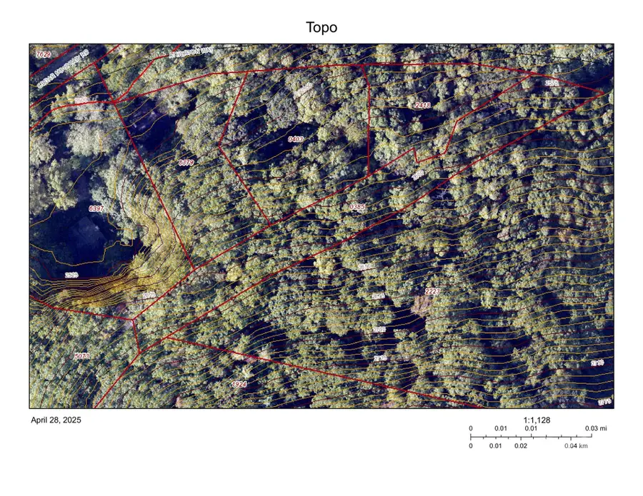 99999 Atherton Way, Asheville, NC 28803 - Image #3