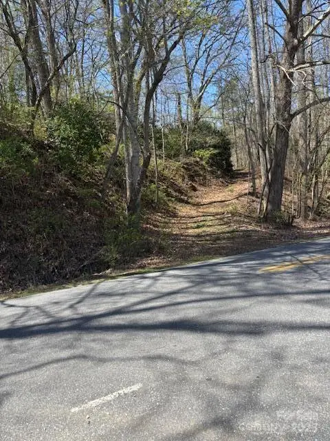 0000 E Fork Road, Sylva, NC 28779 - Image #2