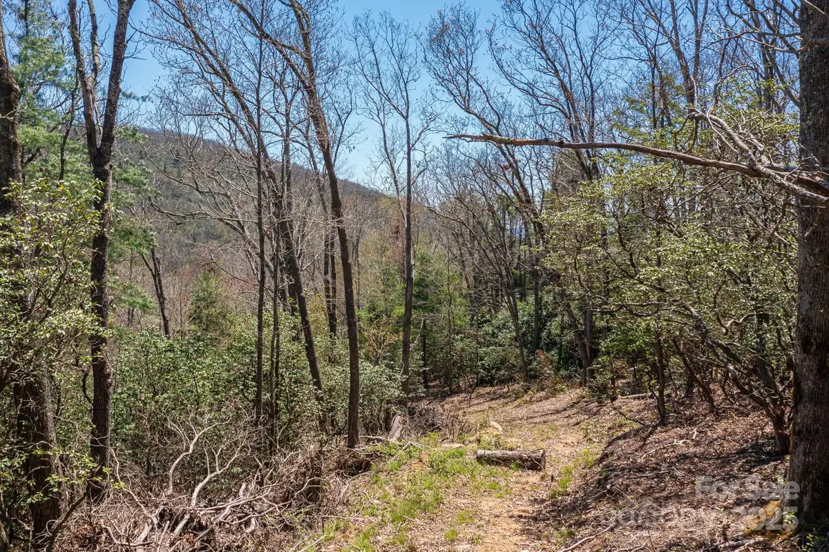 99999 Fairview Forest Drive, Fairview, NC 28730 - Image #1