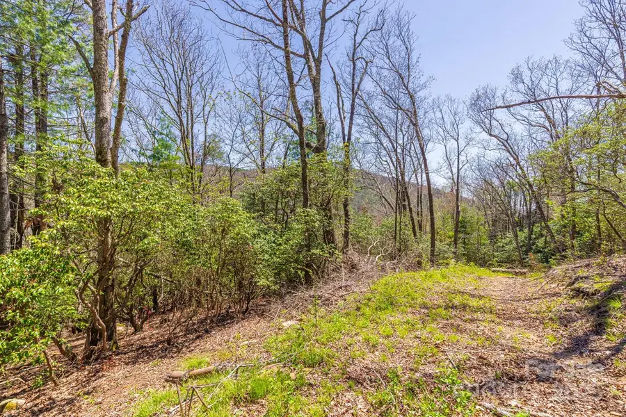 99999 Fairview Forest Drive, Fairview, NC 28730 - Image #2