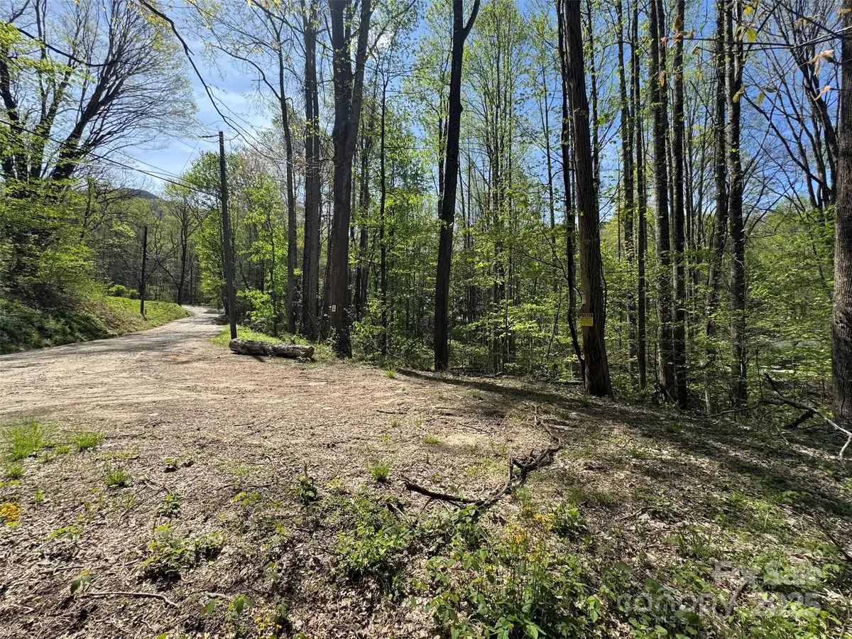 TBD (B) Browning Branch Road, Waynesville, NC 28786 - Image #1