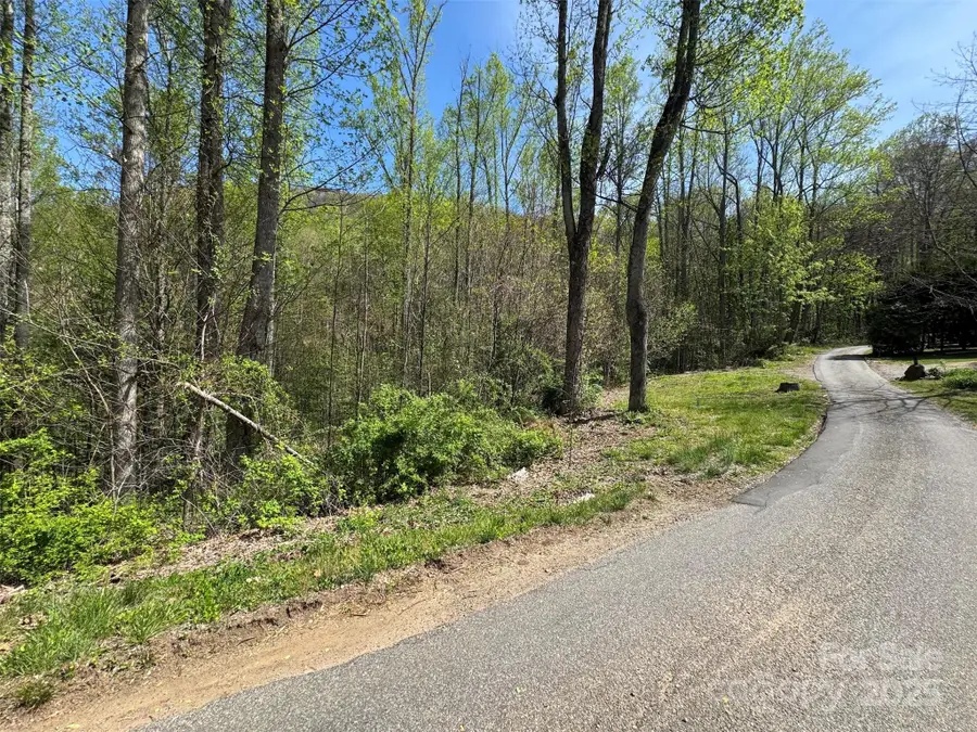 TBD (B) Browning Branch Road, Waynesville, NC 28786 - Image #3