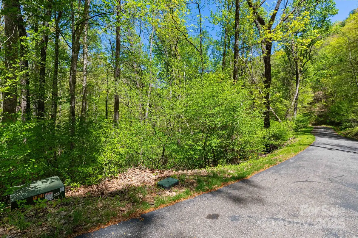 TBD Whispering Woods Path, Mars Hill, NC 28754 - Image #1
