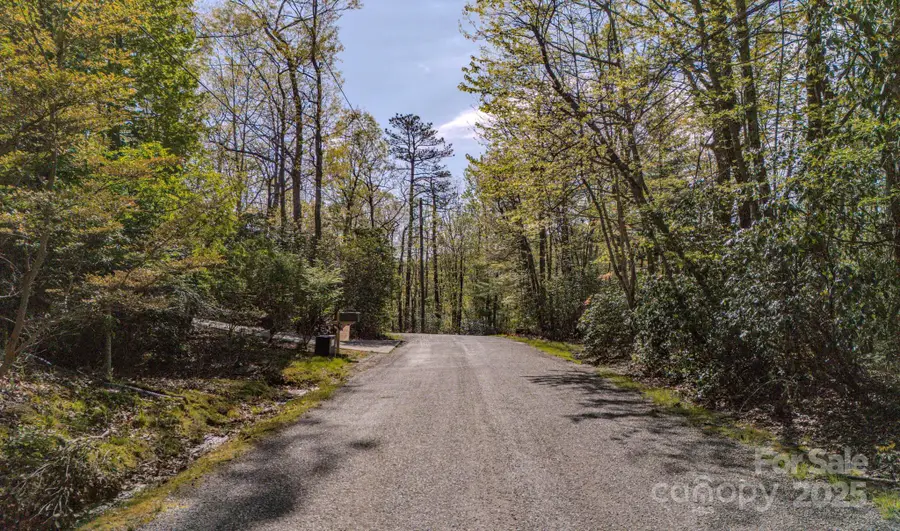 TBD Juniper Lane, Brevard, NC 28712 - Image #3