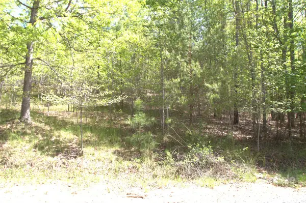 00 Dirksen Avenue #68, Nebo, NC 28761