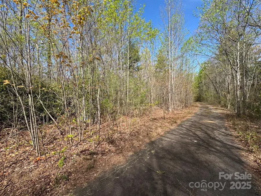 TBD (D) Chestnut Walk Drive, Waynesville, NC 28786 - Image #3