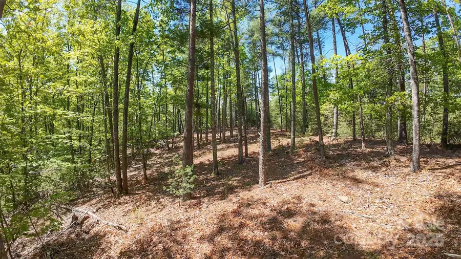 46 Osprey Roost Drive, Nebo, NC 28761 - Image #2