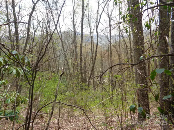 00 Bent Tree Road, Maggie Valley, NC 28751