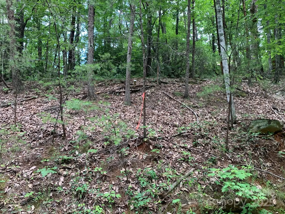 0 Roundabout Road #35, Lake Lure, NC 28746 - Image #1