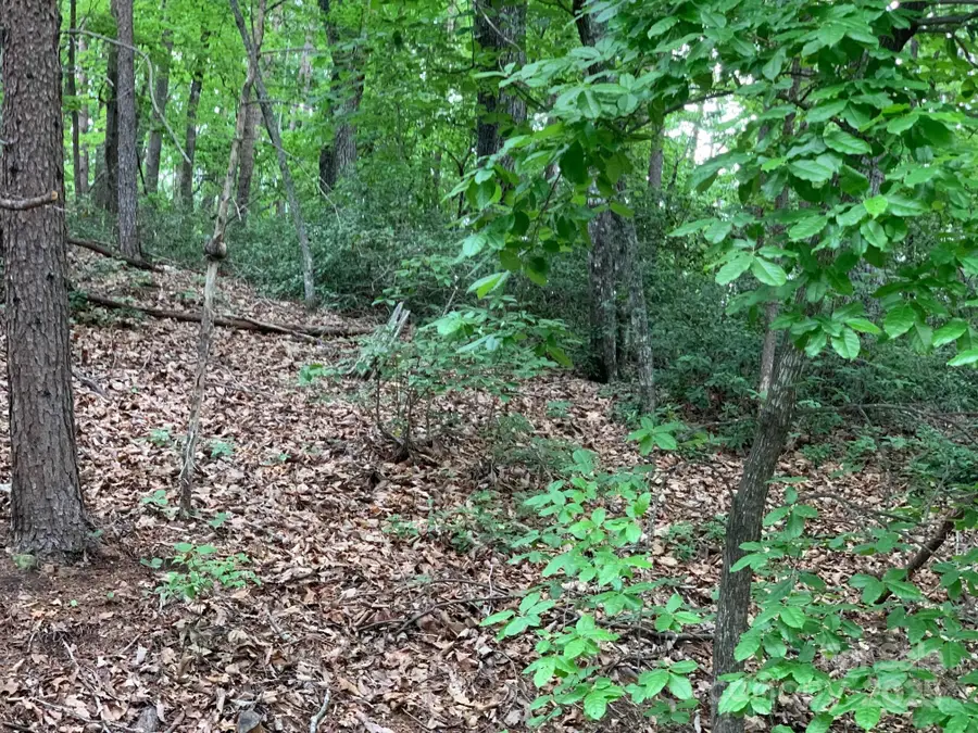 0 Roundabout Road #35, Lake Lure, NC 28746 - Image #3