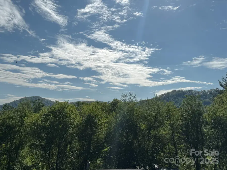 54 Mcintosh Lane, Candler, NC 28715 - Image #3