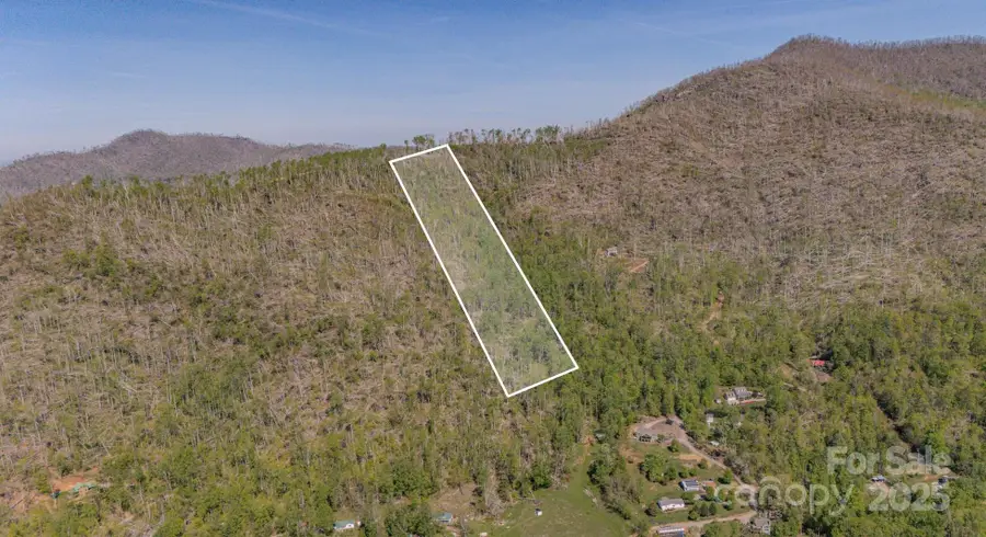 99999 Unicorn Farm Road, Asheville, NC 28805 - Image #3