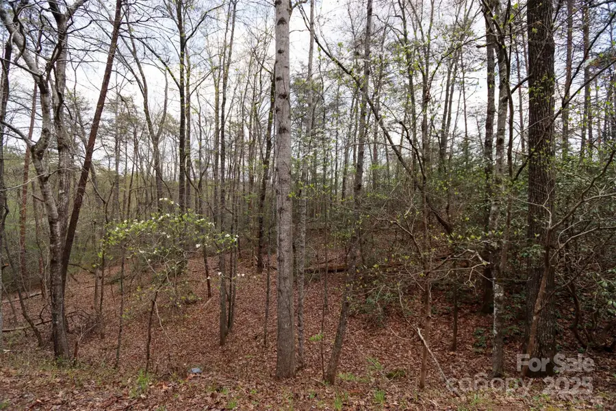 0 Mcintosh Circle, Lake Lure, NC 28746 - Image #3