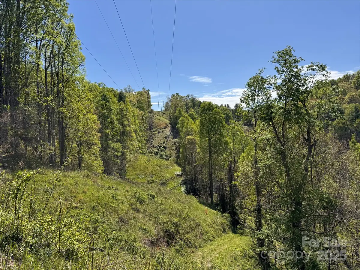 000 Relief Extension, Green Mountain, NC 28740 - Image #1