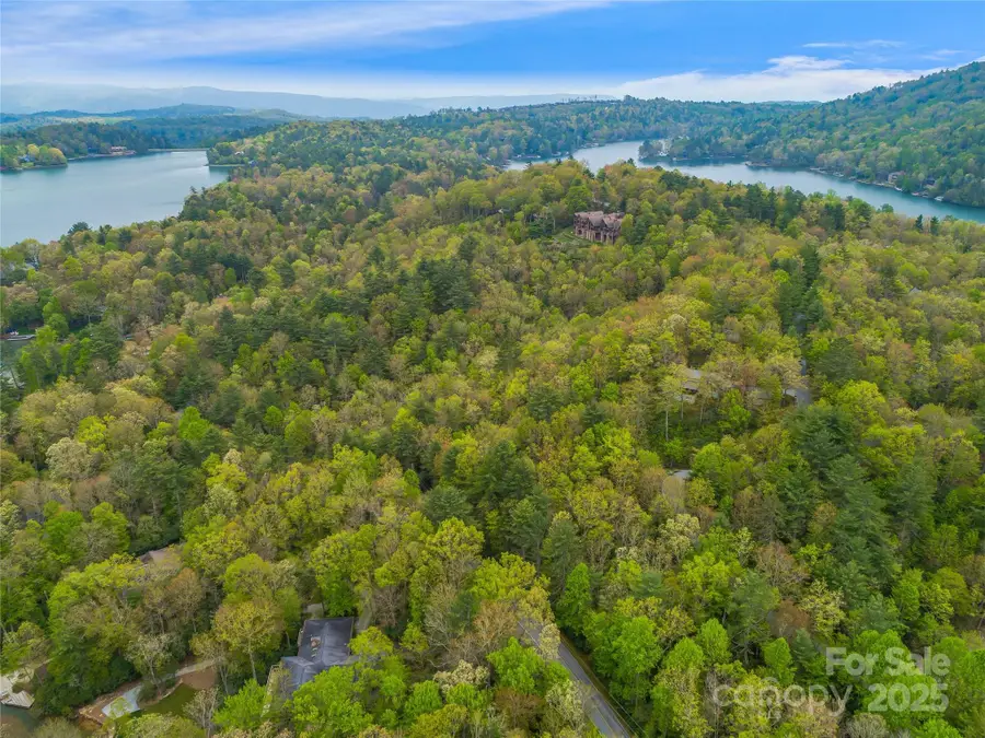 3539 West Club Boulevard, Lake Toxaway, NC 28747 - Image #2