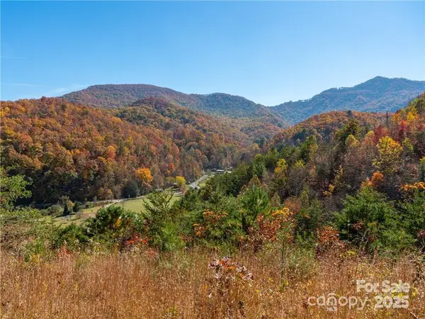 99999 Turkey Creek Road #1 & 2, Leicester, NC 28748