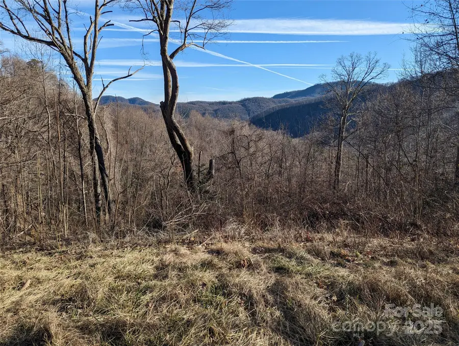 117 Ironwood Lane #C-20, Black Mountain, NC 28711 - Image #3