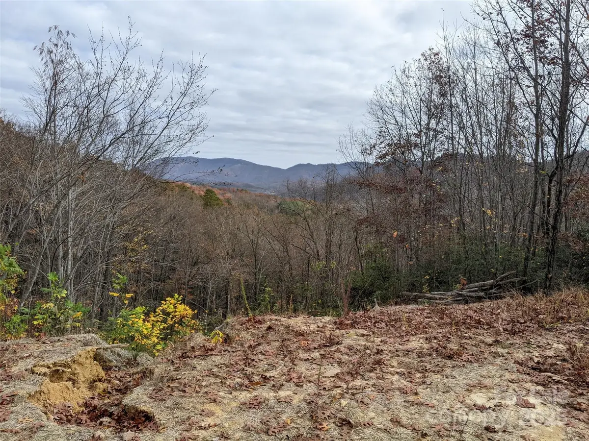 171 Nuthatch Lane #C-30, Black Mountain, NC 28711 - Image #1
