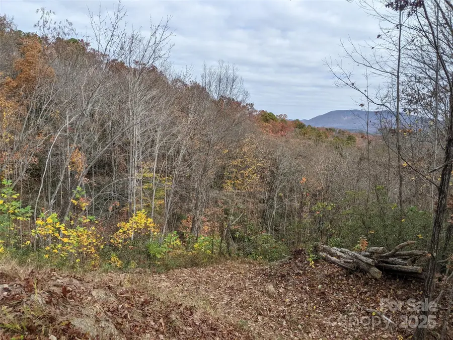 171 Nuthatch Lane #C-30, Black Mountain, NC 28711 - Image #2