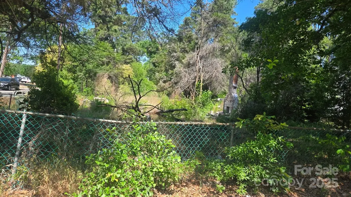 236 S Patterson Street, Maxton, NC 28364 - Image #1