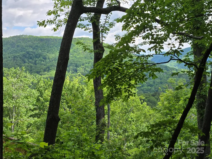 Lot 230 Swallow Lane, Lake Lure, NC 28746 - Image #2
