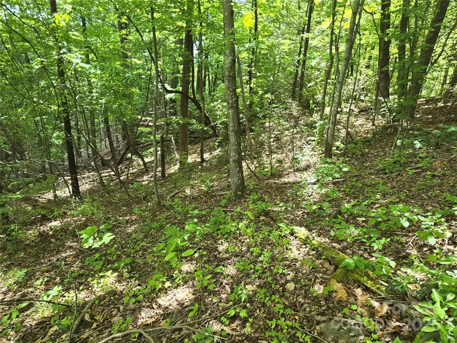 Lot 230 Swallow Lane, Lake Lure, NC 28746 - Image #3