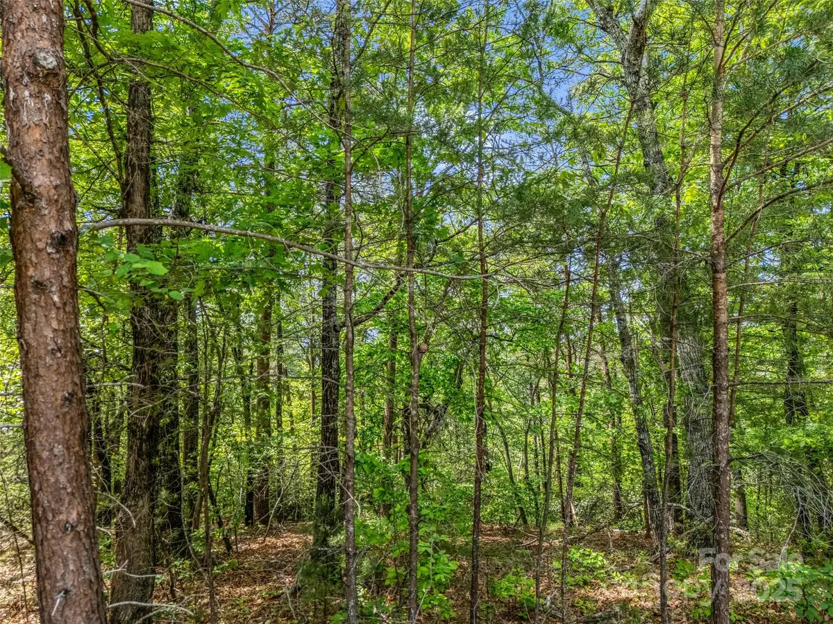 4 Woodward Drive, Mill Spring, NC 28756 - Image #1