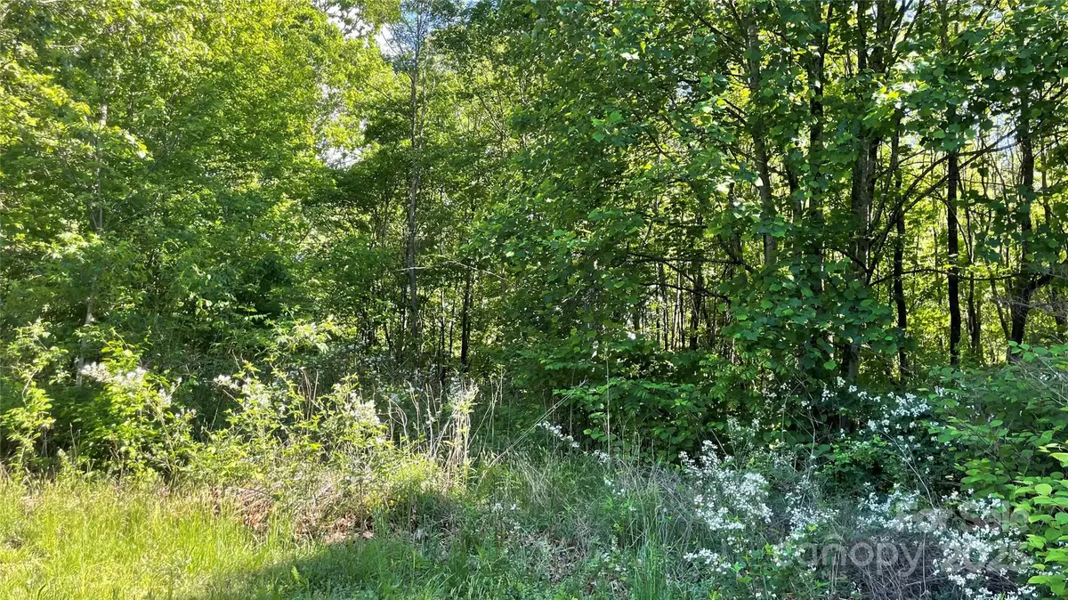 99999 Bachelder Lane, Candler, NC 28715 - Image #1