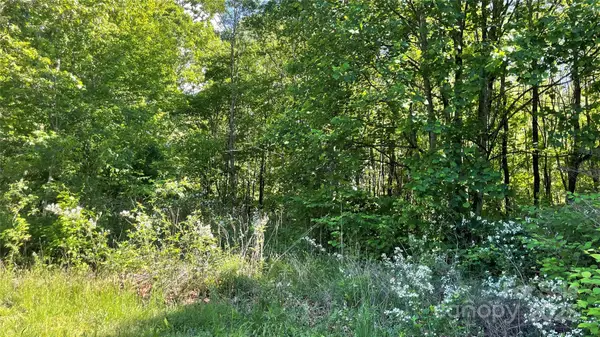 99999 Bachelder Lane, Candler, NC 28715