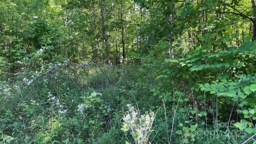 99999 Bachelder Lane, Candler, NC 28715 - Image #2