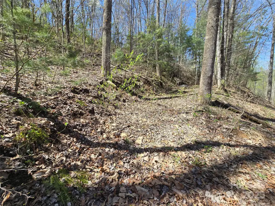 00 Riverside Drive #33/34, Whittier, NC 28789 - Image #3