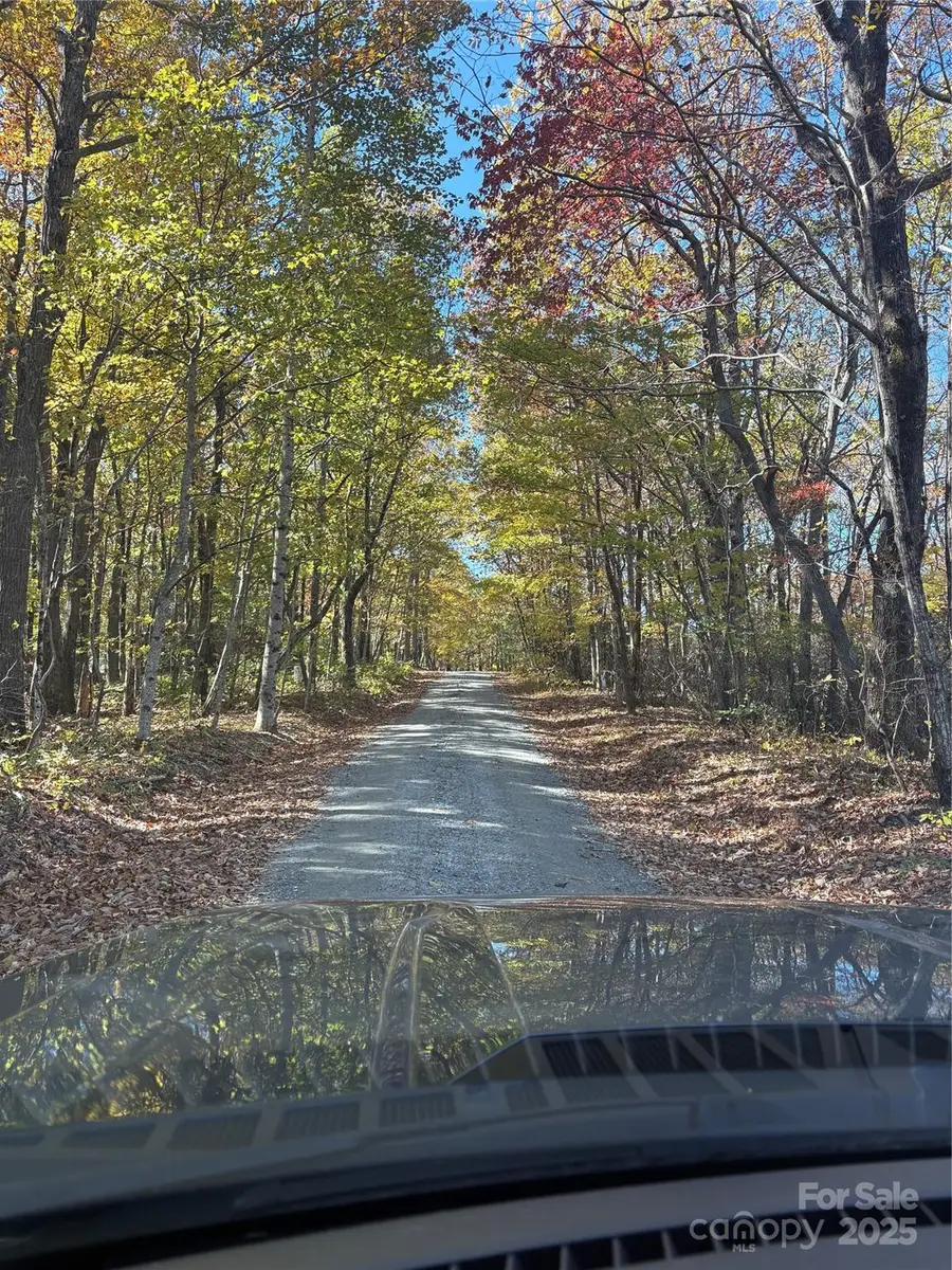 Lot 6 Miller Mountain Road #6, Saluda, NC 28773 - Image #3