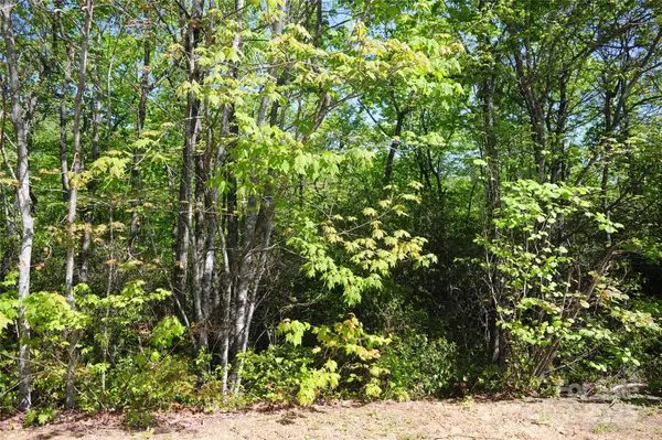 99999 Mountain Falls Trail #71, Black Mountain, NC 28711