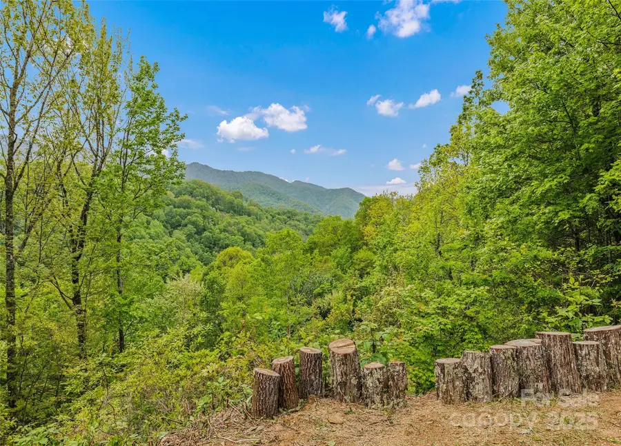328 Mountain Lion Trail, Maggie Valley, NC 28751 - #3