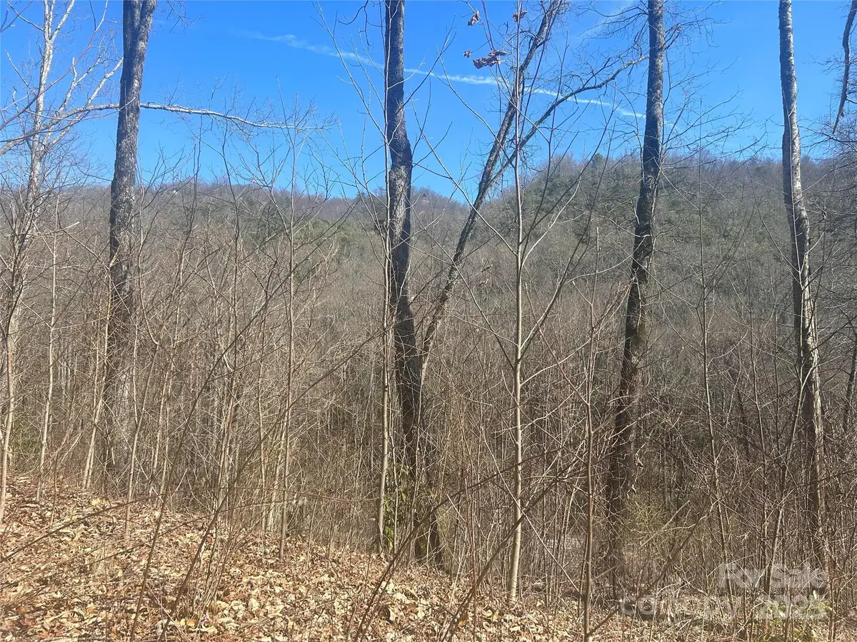 0 Towaliga Drive #94, Bryson City, NC 28713 - Image #1