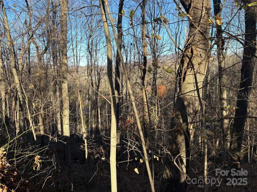 TBD Adams Street #1, Waynesville, NC 28786 - Image #2