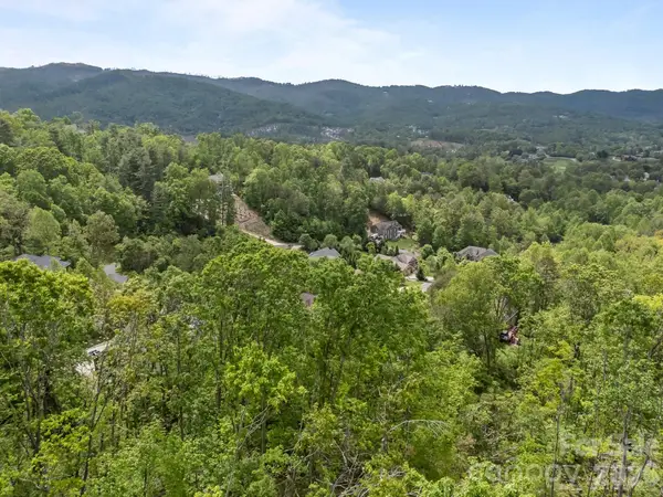 46 Hawtree Court #255, Weaverville, NC 28787
