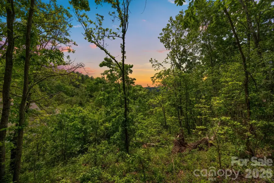 46 Hawtree Court #255, Weaverville, NC 28787 - #2