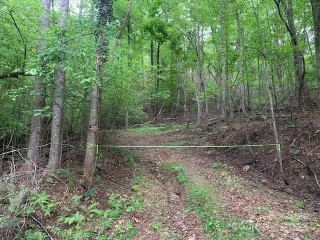 42.16 ACS Green River Cove Road #42.162 AC., Saluda, NC 28773 - Image #3