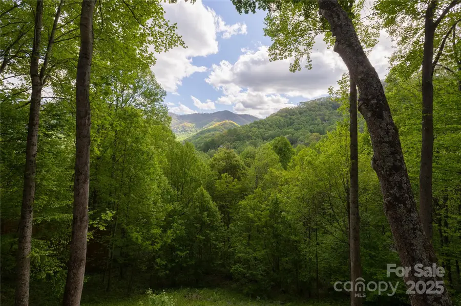 277 Mayali Trail, Waynesville, NC 28785 - Image #3